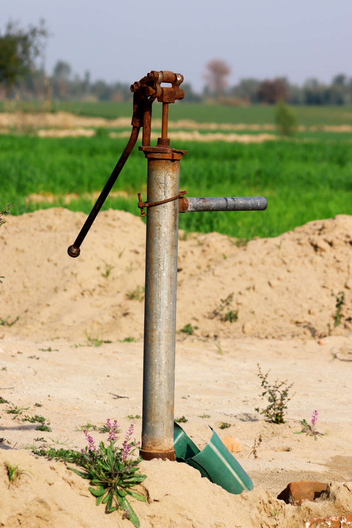 Solar-ready water pumps