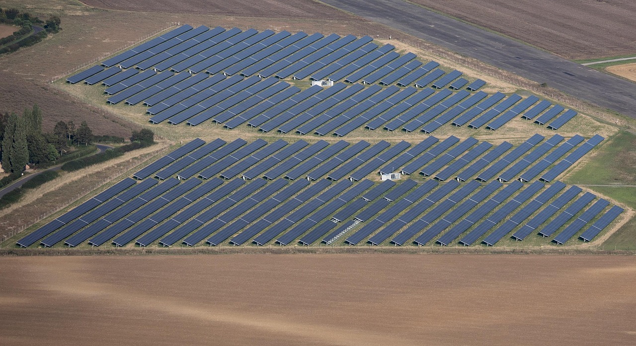 Solar panels arranged across a field